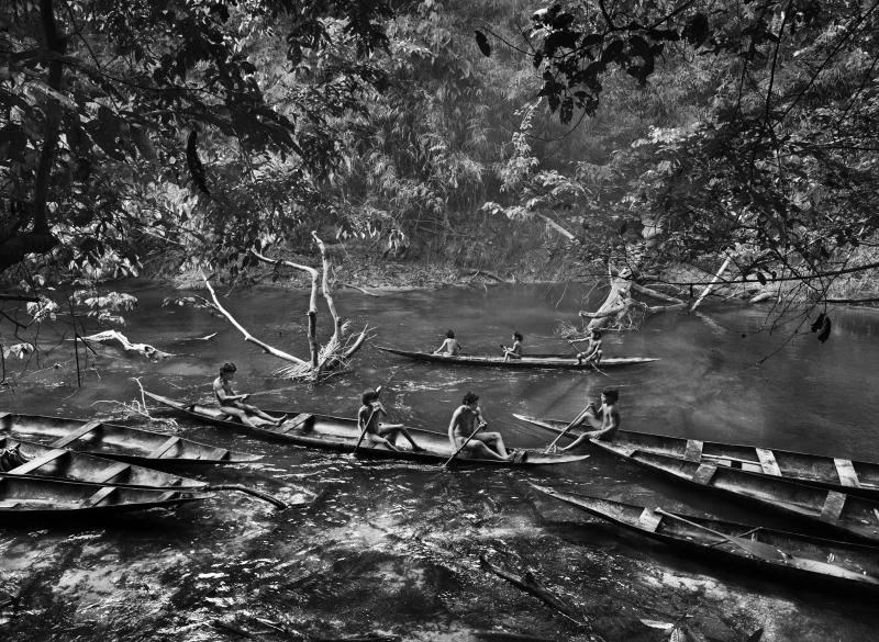 Sebasti o Salgado Fishing with Timbo in the Jukihi Stream Brazil