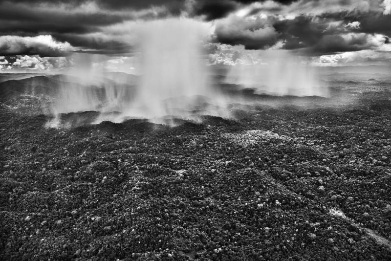 Sebasti o Salgado Parima Forest Reserve Yanomami Indigenous Territory State of Roraima Brazil