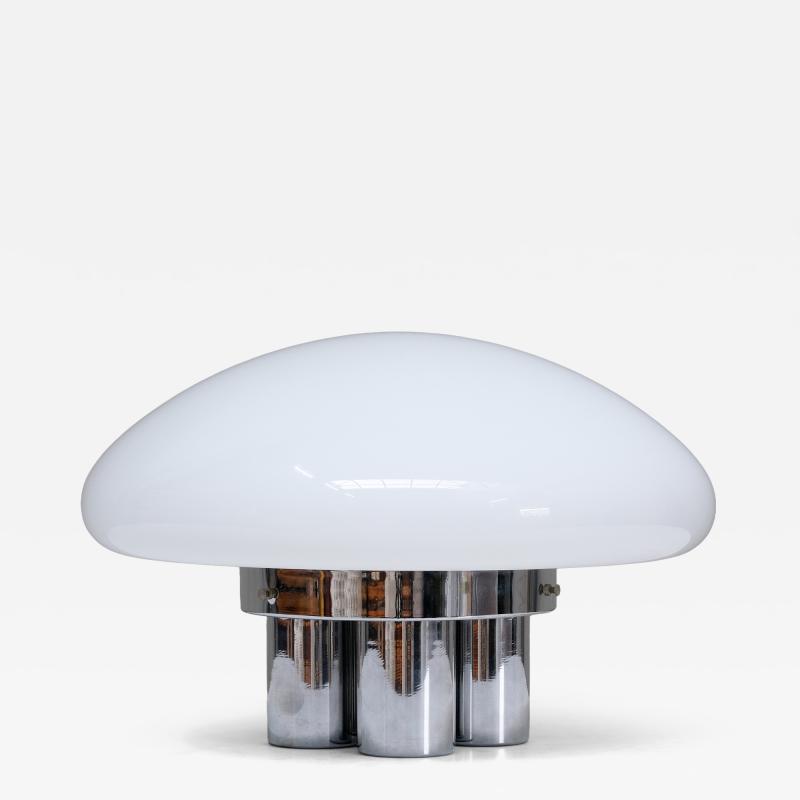 Sergio Mazza Sergio Mazza Giuliana Gramigna Magnolia Table Lamp for Quattrifolio 1973