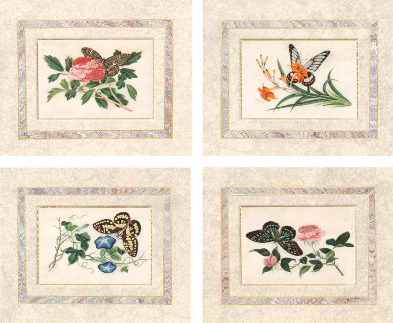 Set Of Four Chinese Export Framed Pith Paper Watercolors Of Plants And Insects