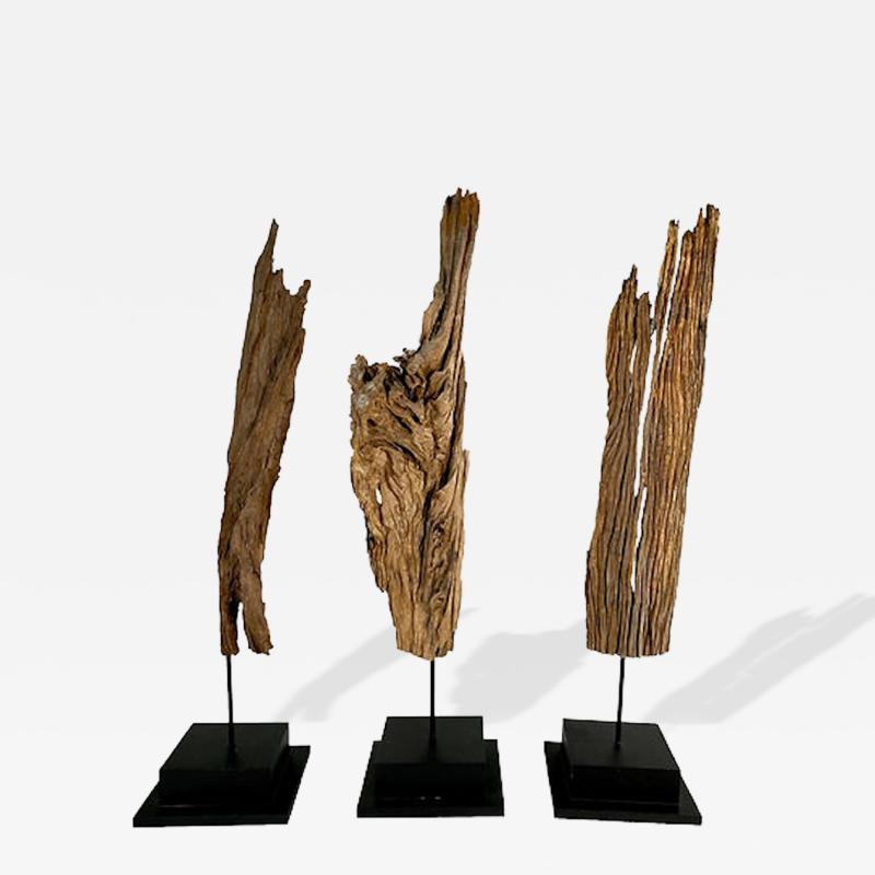Set of 3 Abstract Driftwood Sculptures XXX