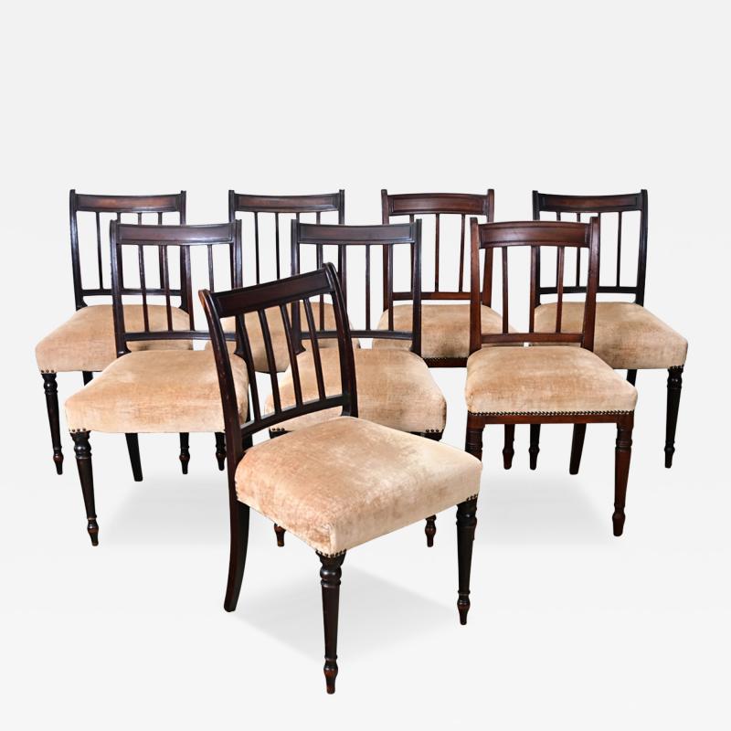Set of 8 English 19th Century H O Peers Mahogany Dining Chairs