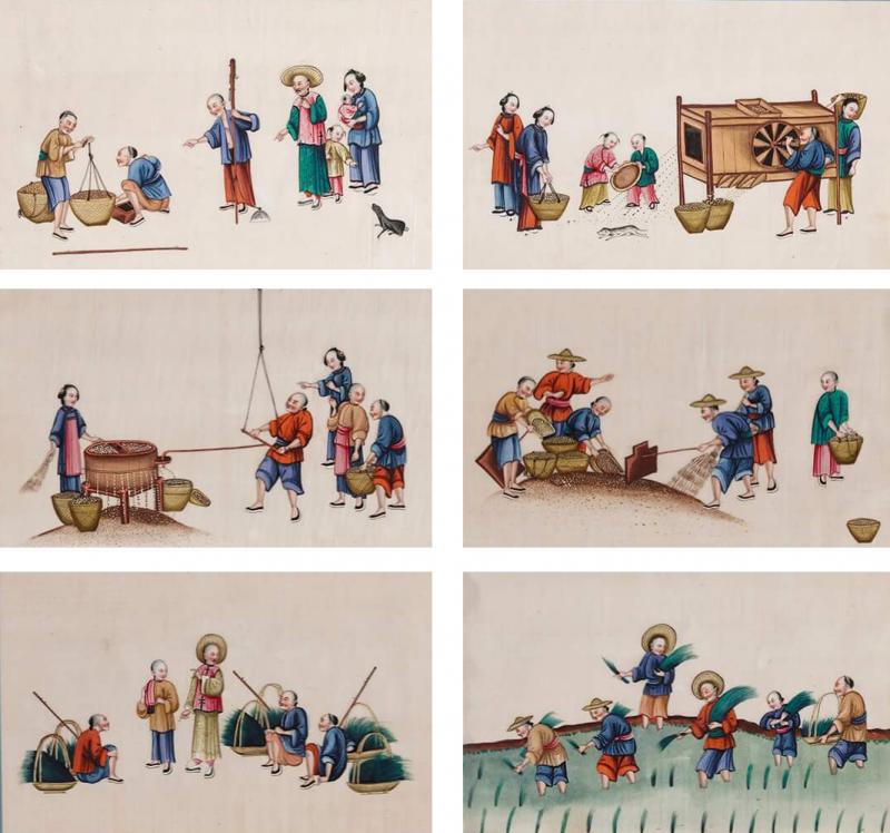 Set of Antique Chinese pith paintings depicting tea production