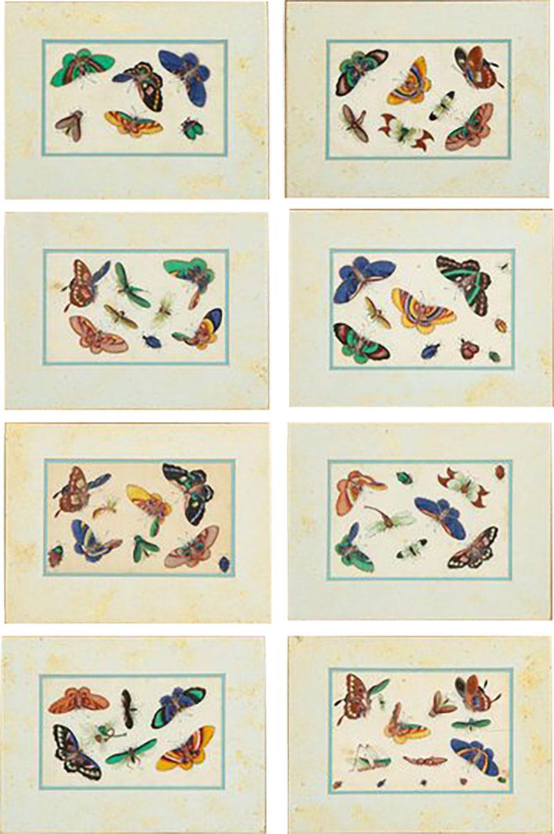 Set of Eight Chinese Rice Paper Paintings of Butterflies and Insects