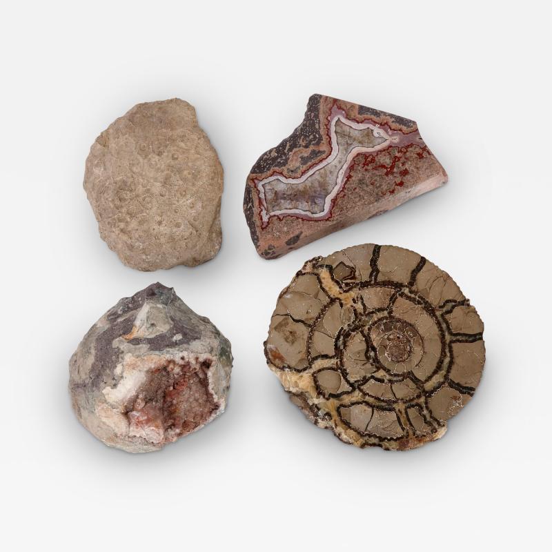 Set of pink amethyst agate fossilised ammonite and coral fossil