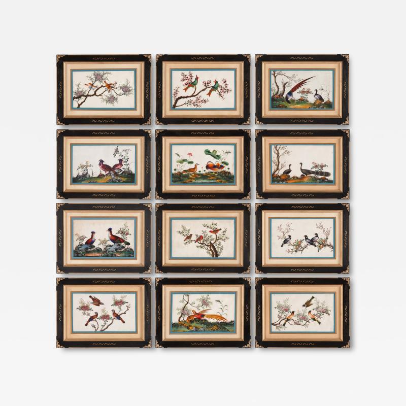 Set of twelve antique Chinese painted bird studies on pith paper