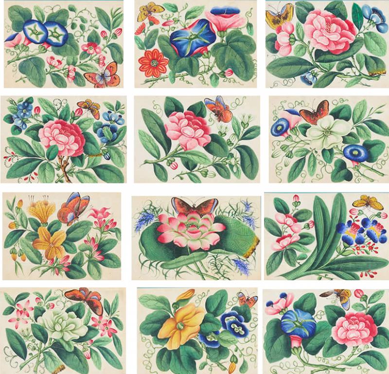 Set of twelve antique Chinese pith paintings with flowers and butterflies