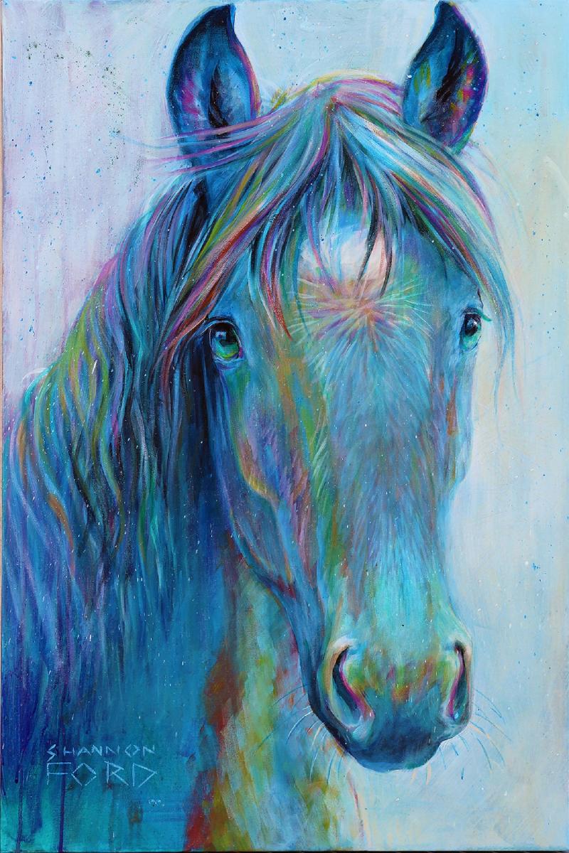 Shannon Ford Curious Filly
