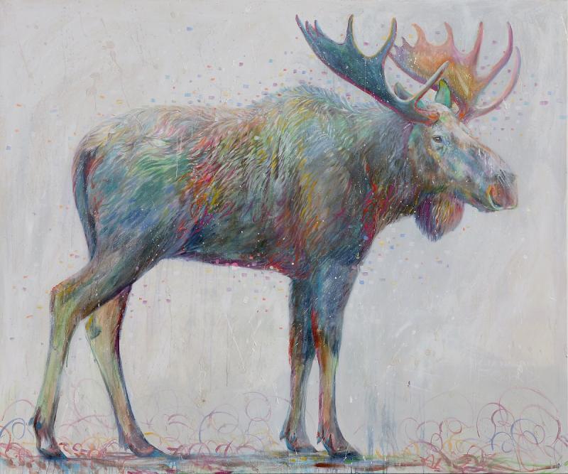 Shannon Ford Moose Magic
