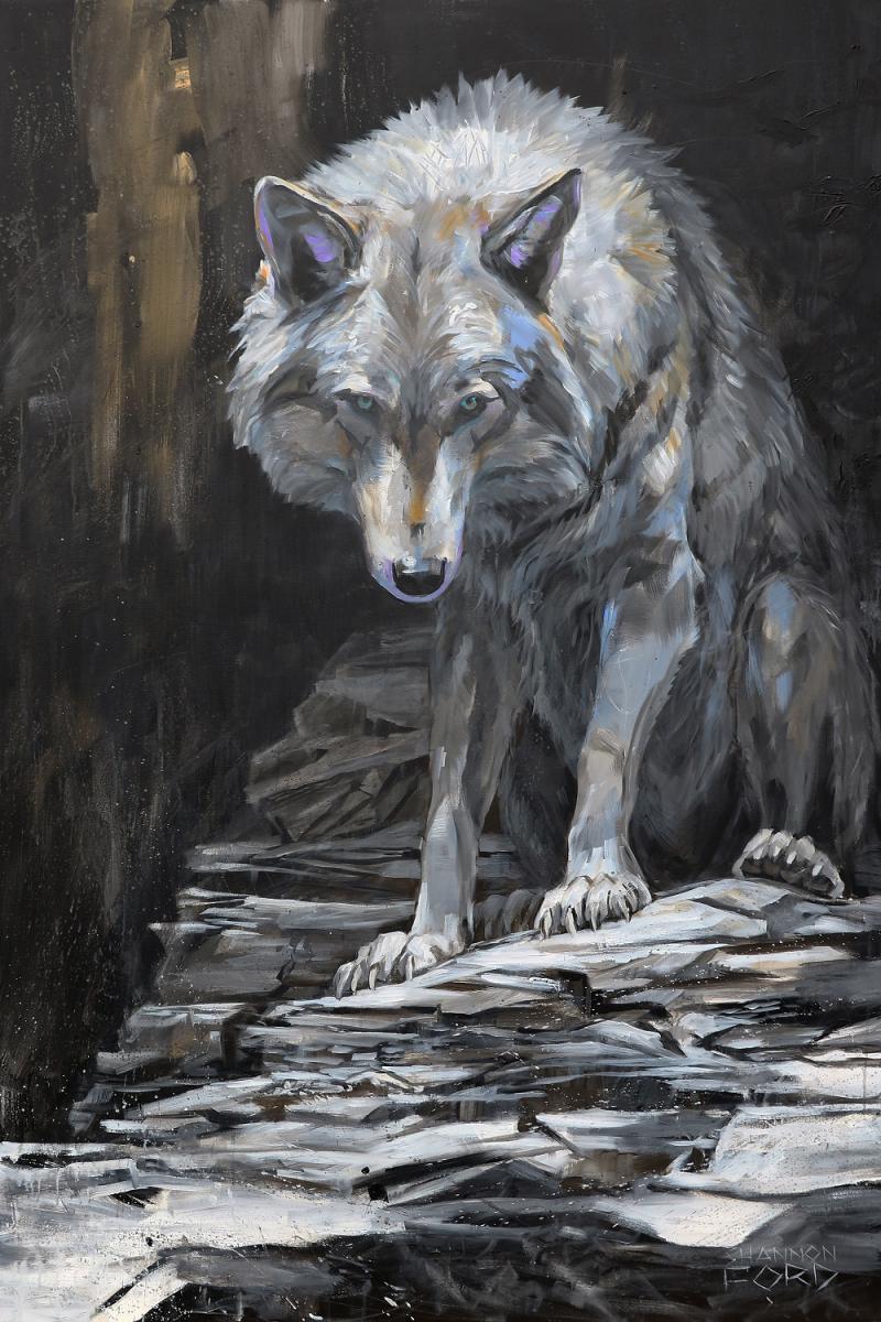 Shannon Ford Silent Presence
