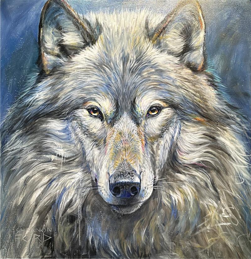 Shannon Ford WIP Wolf Portrait