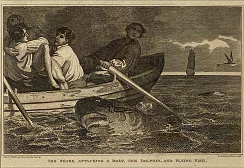 Shark Attack Engraving England Circa 1820