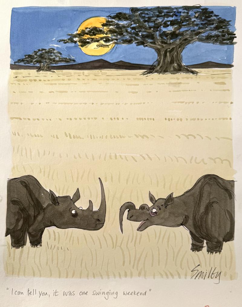 Smilby Smilby Rhino Has a Swinging Weekend Sexy Mens Magazine Cartoon