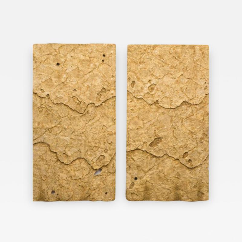 Sophie Coryndon Sophie Coryndon Dossel Diptych UK 2018