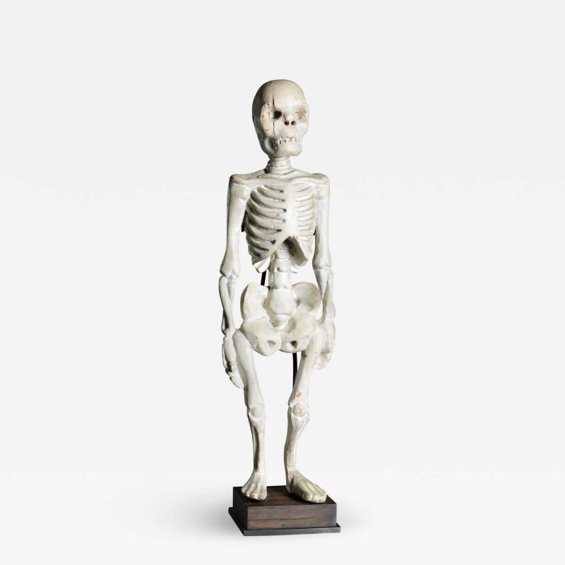 Standing Human Skeleton Sculptured in Wood