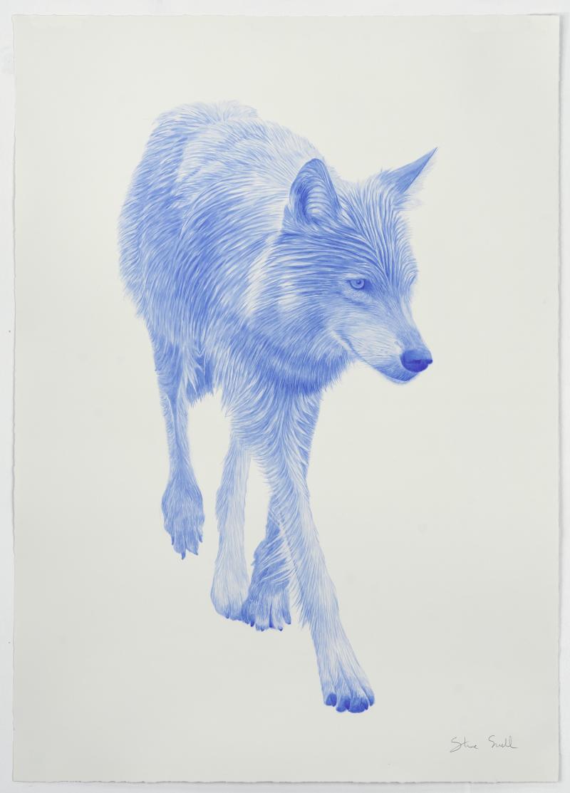 Steve Snell Neon Wolf Blue 