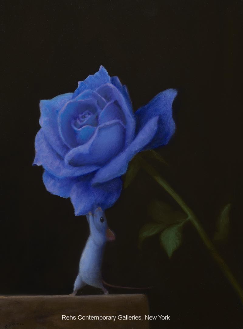 Stuart Dunkel Blue Rose