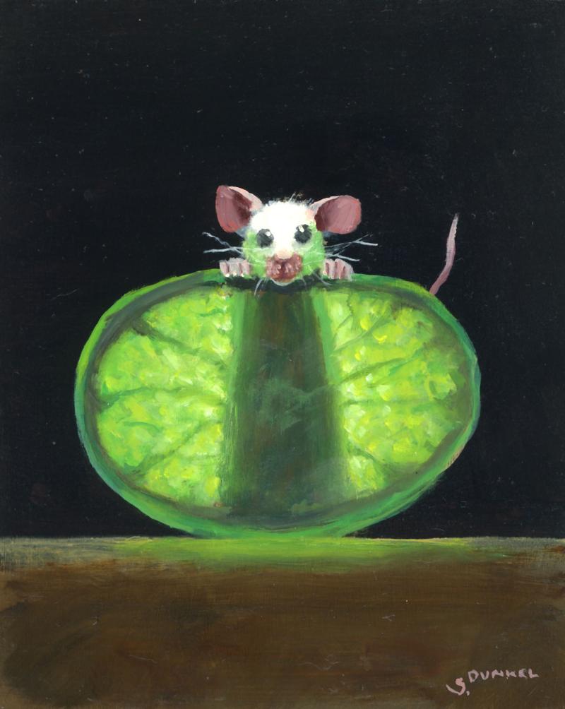 Stuart Dunkel Lime X Ray 2026