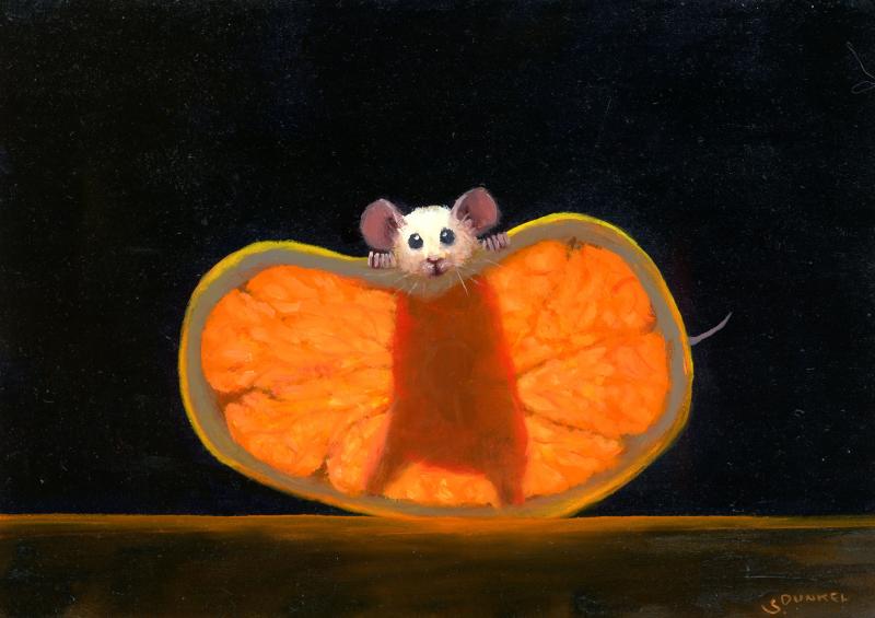 Stuart Dunkel Orange X Ray 2026