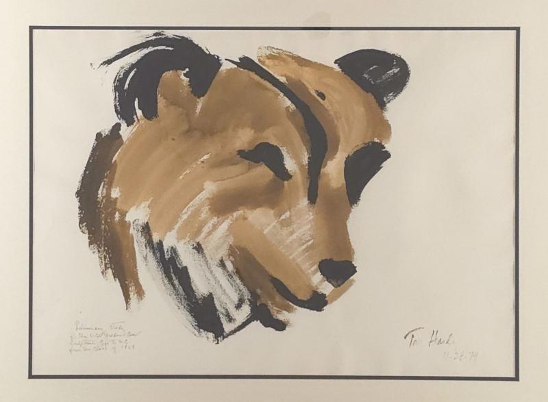 Study of a Bear for the Golden Bears by Tom Hardy 1979