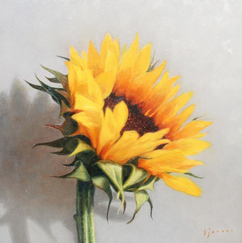 Susan N Jarvis Sunflower
