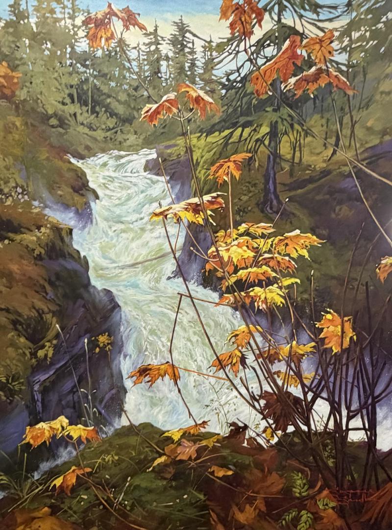 Suzanne Sandboe Little Qualicum Falls