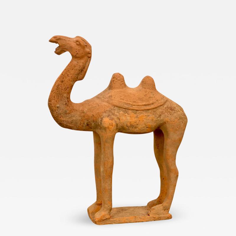 Tang Dynasty Camel China