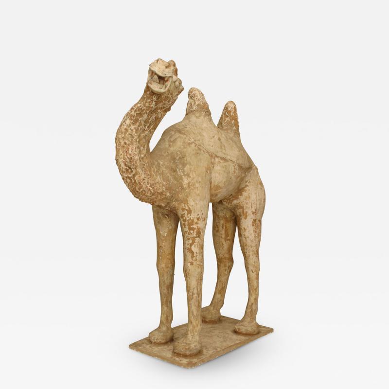 Tang Dynasty Pottery Camel