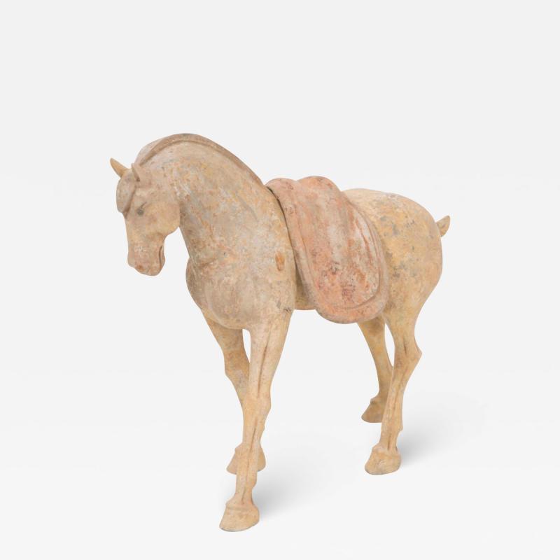 Tang Dynasty Pottery Horse With Saddle