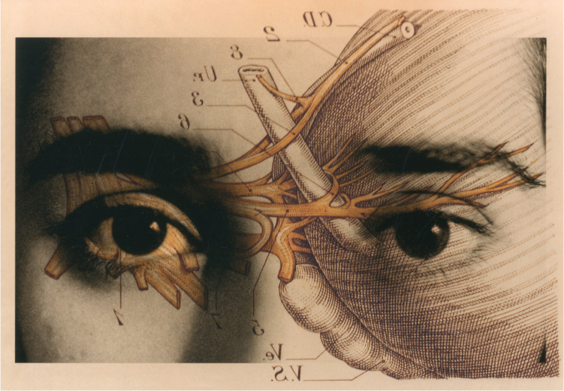 Tatiana Parcero Cartografia Interior 23 1995