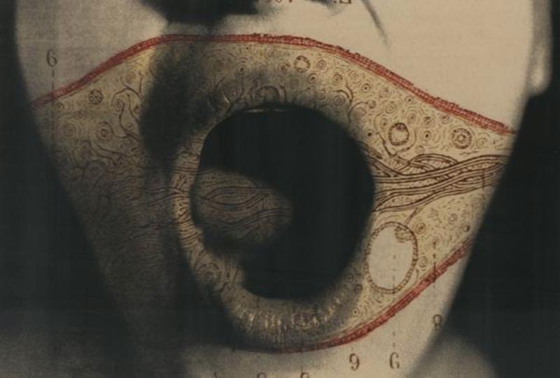 Tatiana Parcero Interior Cartography 21 Mouth w yellow cell 