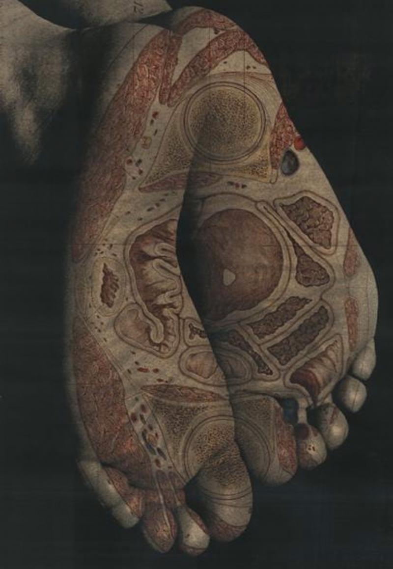 Tatiana Parcero Interior Cartography 9 Feet w color cells 