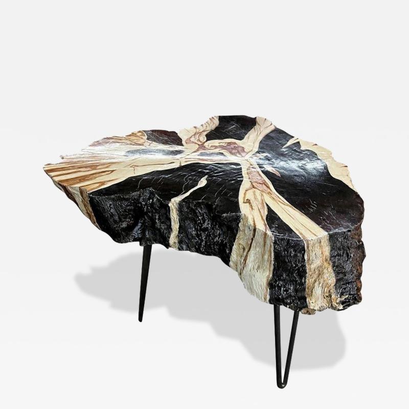 Teak Root Side Table Petrified Wood Style Handpainted By Artist IDN 2023