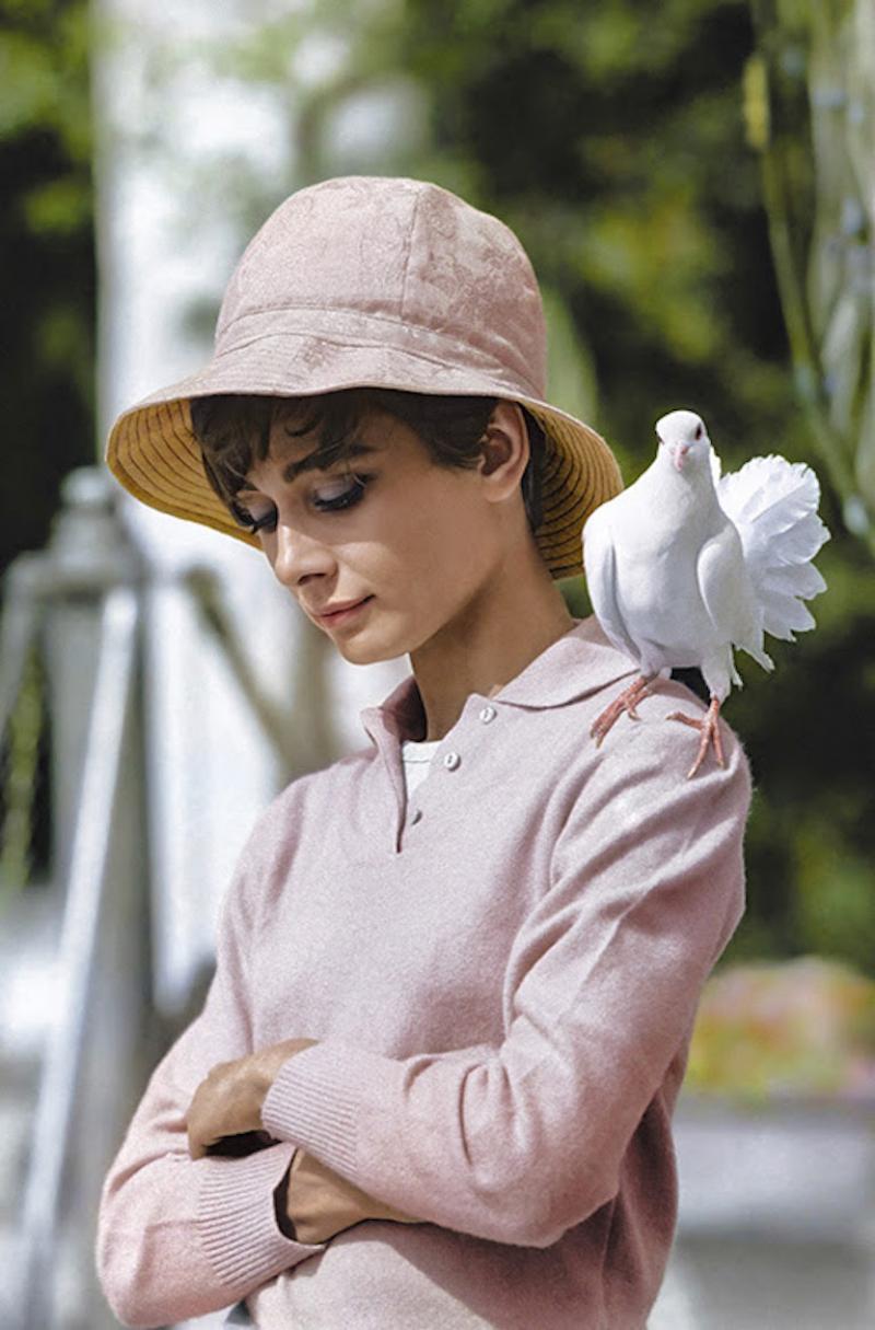 Terry O Neill Audrey Hepburn with a Dove Color 