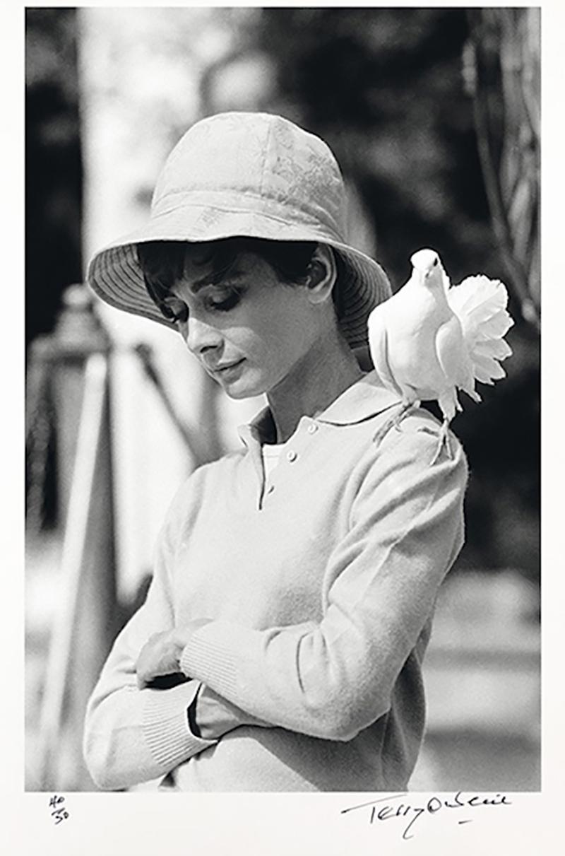 Terry O Neill Hepburn With Dove Signed Framed Print