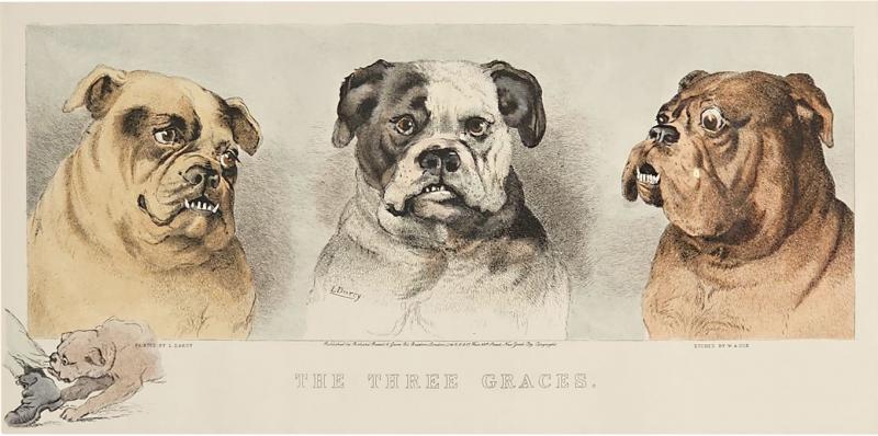 The Three Graces England circa 1920