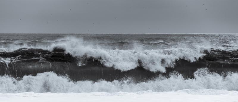 Tim Graham Black Sea