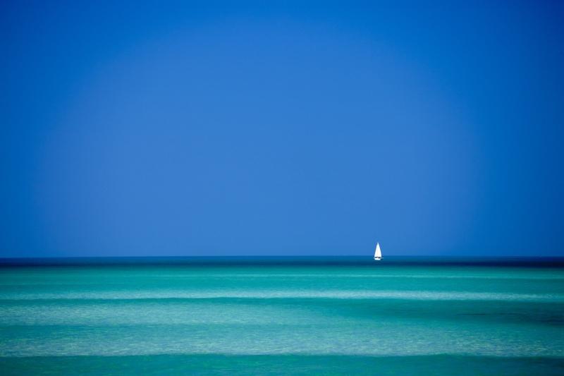 Tim Graham Dream Blues