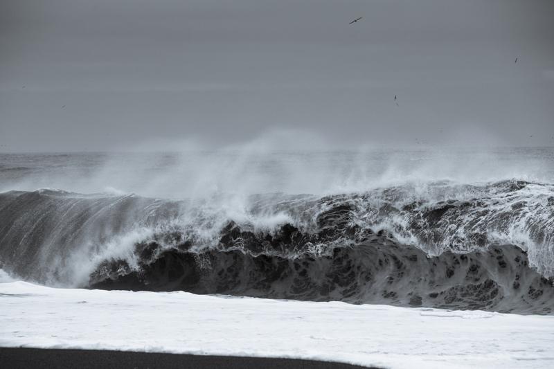 Tim Graham Rolling Wave II