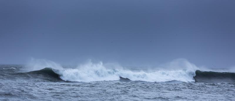 Tim Graham Waves