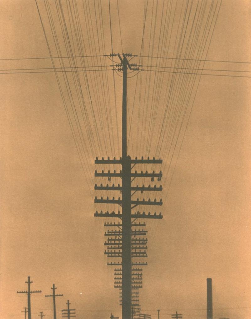 Tina Modotti Telephone Wires