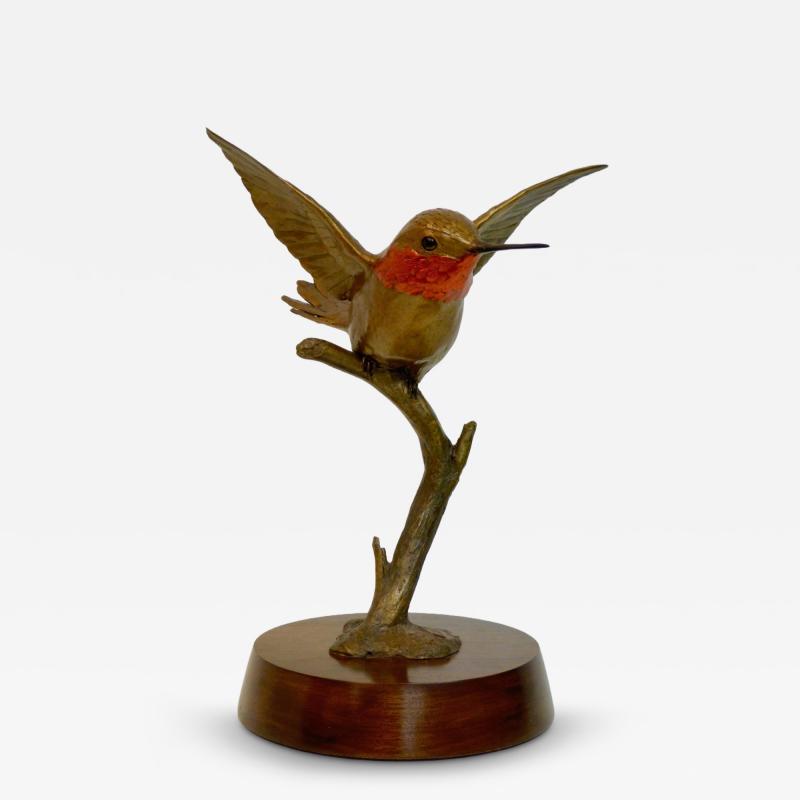 Tom Hjorleifson Rufous Hummingbird