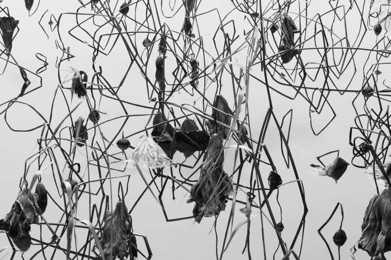 Tomohiro Muda Mizu 16 Water 16 2014