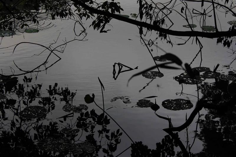 Tomohiro Muda Mizu 18 Water 18 2014