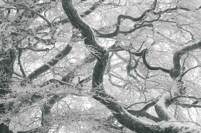 Tomohiro Muda Mizu 28 Water 28 2012