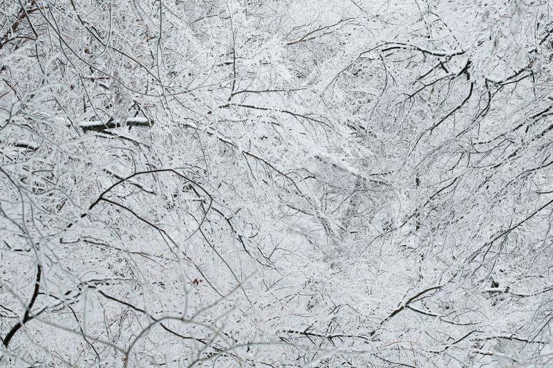 Tomohiro Muda Mizu 29 Water 29 2012