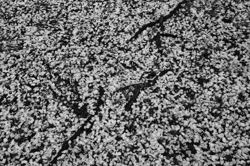 Tomohiro Muda Mizu 42 Water 42 2012