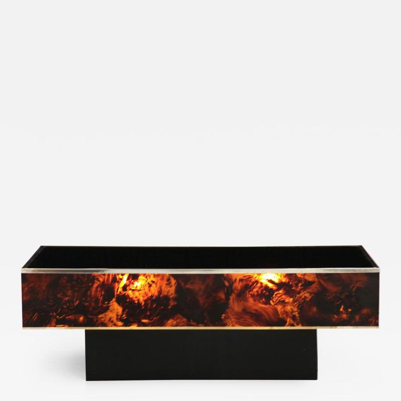 Tortoise Lucite Cocktail Table with Inerior Lights France 1970s