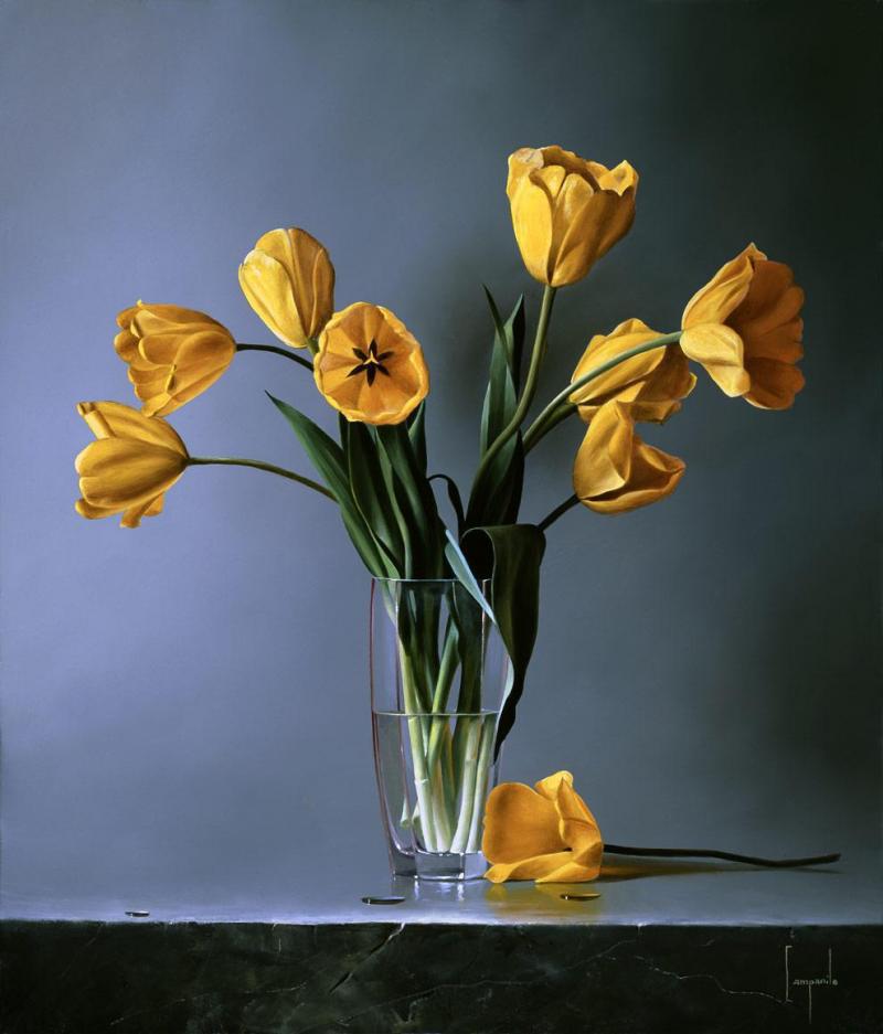 Tulipani Gialli Giclee by Dario Campanile