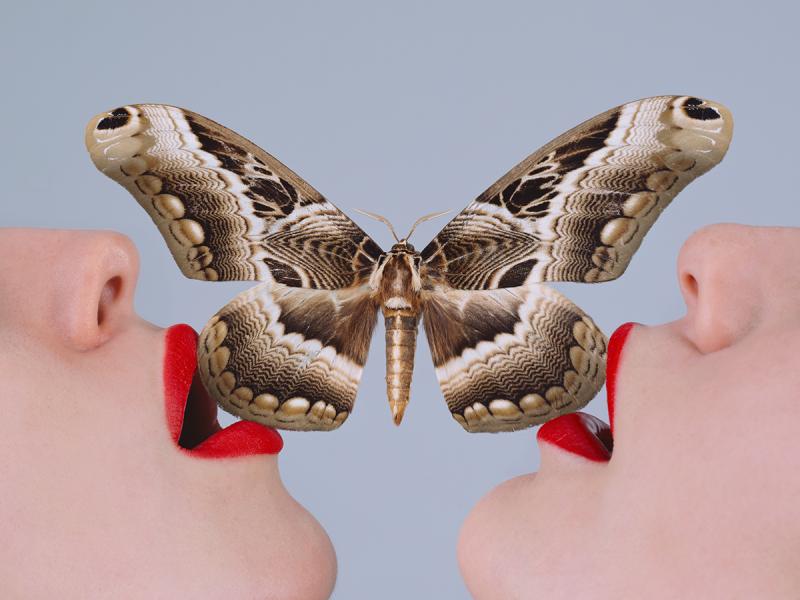 Tyler Shields Butterfly